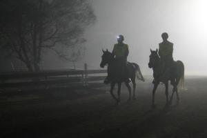 Riders in fog